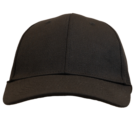 25 Standard Dad Hats Bundle